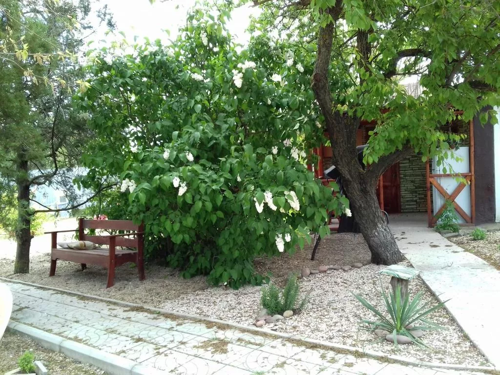 . Гостевой дом "Вероника" - Должанская. Должанская