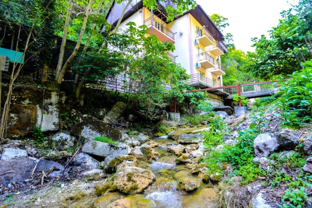 . Гостевой дом "Пантера". Гагра