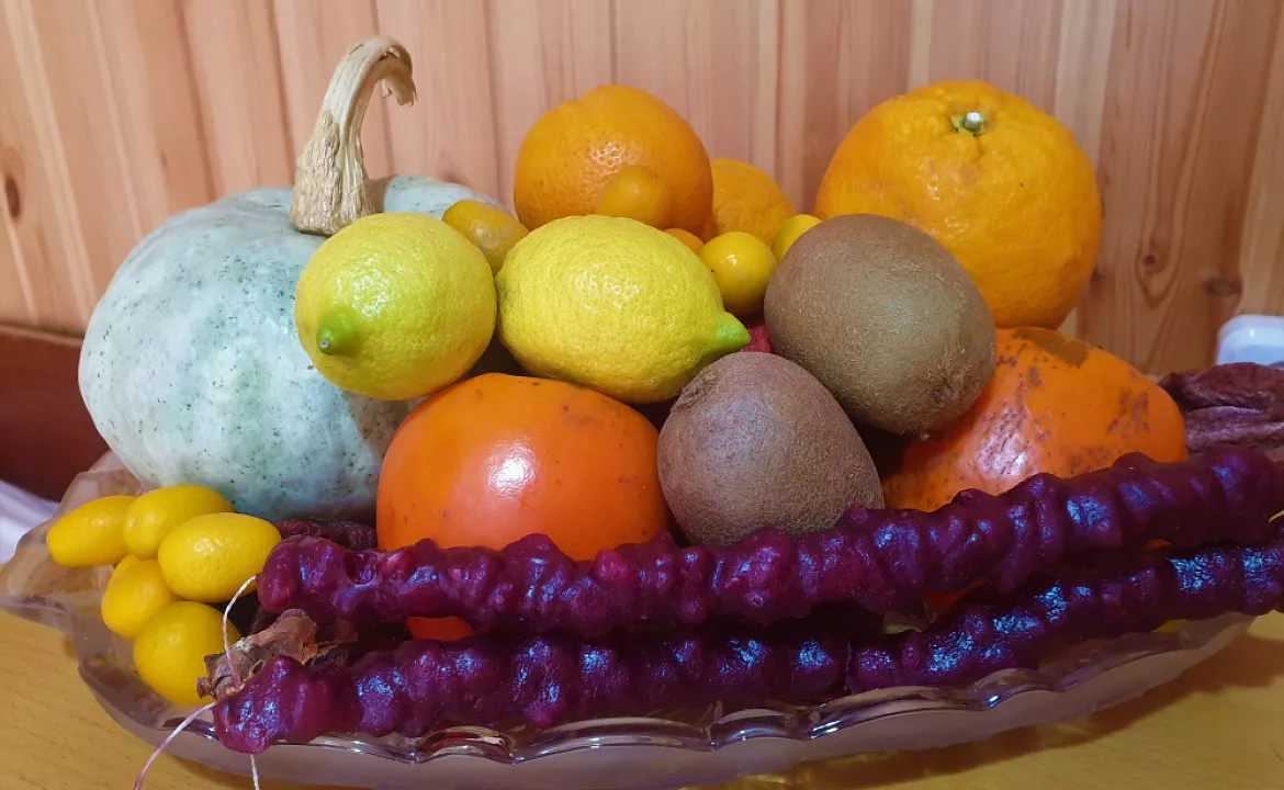 Дом под ключ. Дом под ключ FIESTA SEA. Гагра