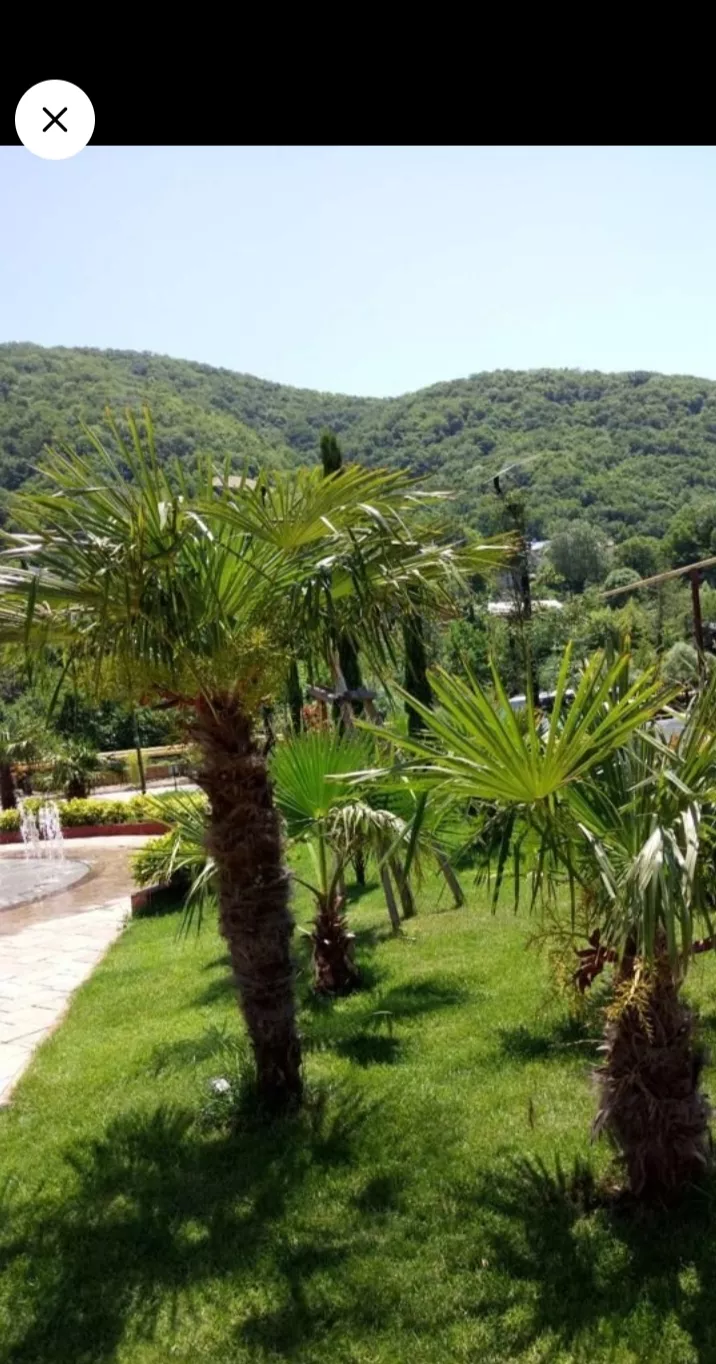 . Квартира в многоквартирном доме Sun Hills. Небуг