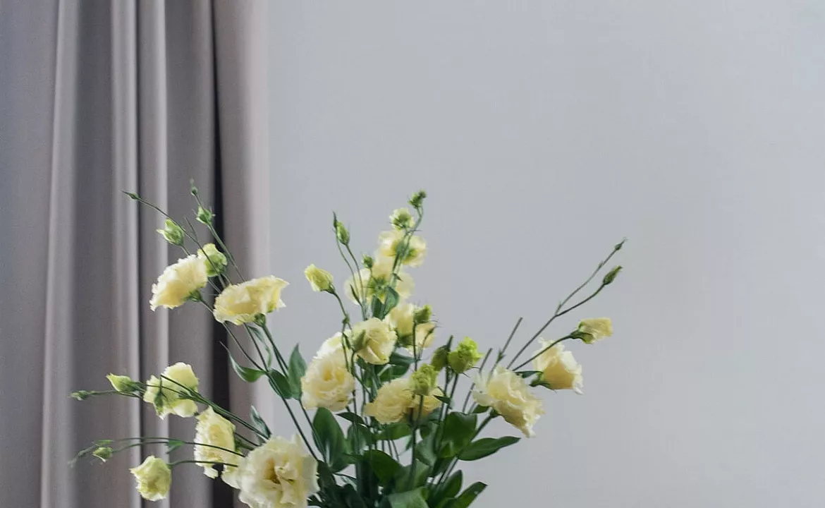 Апартаменты DELUXE с видом на море и олимпийские объекты 60. Отель Апарт-отель "НА ВЫСОТЕ!". Адлер Апартаменты DELUXE с видом на море и олимпийские объекты 60. Отель Апарт-отель "НА ВЫСОТЕ!". Адлер