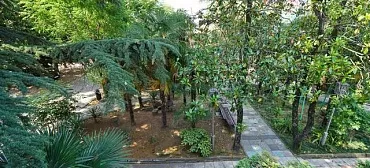 Пансионат Чайка Пансионат Чайка