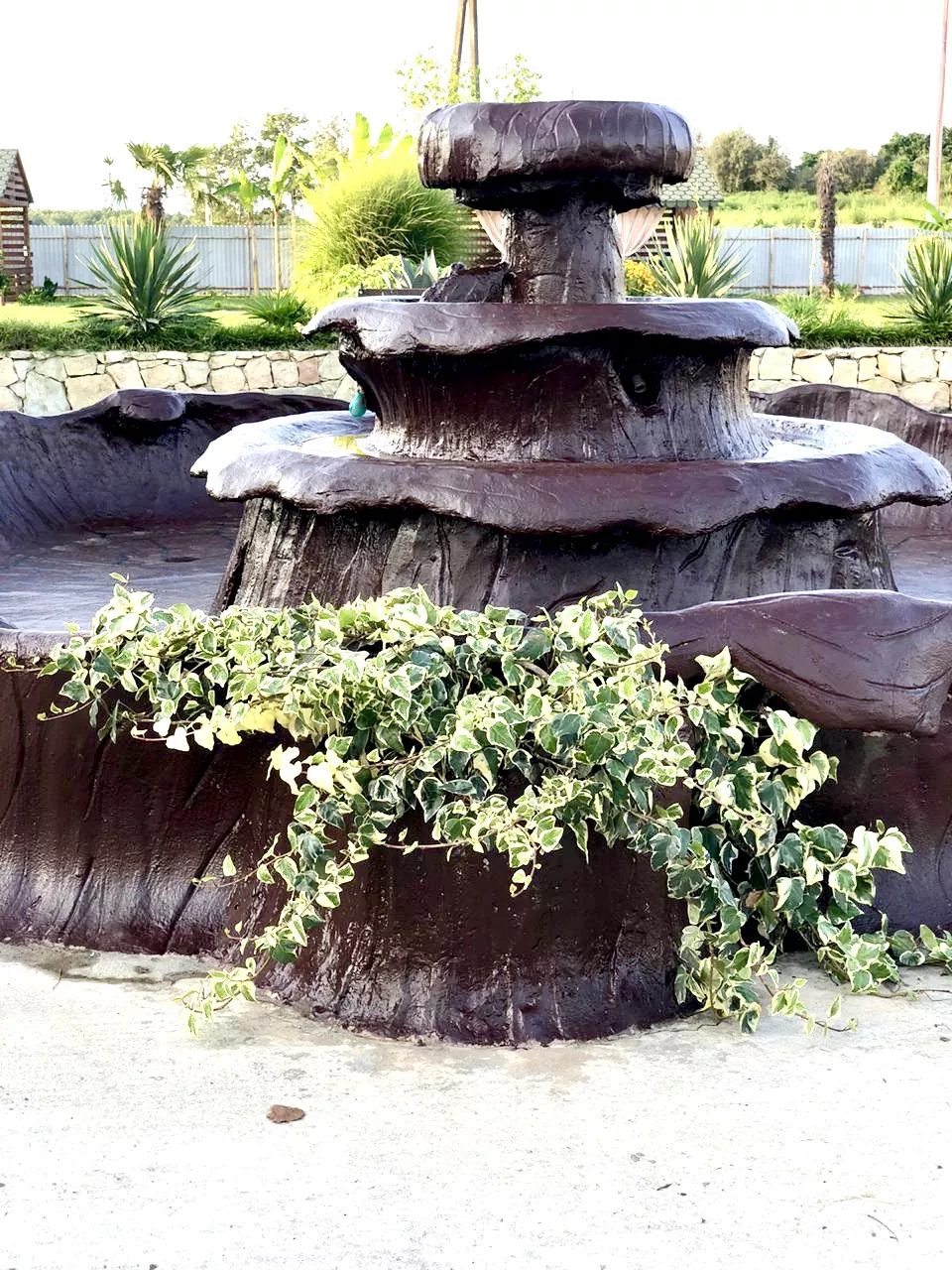 . База отдыха "Скурча". Сухум