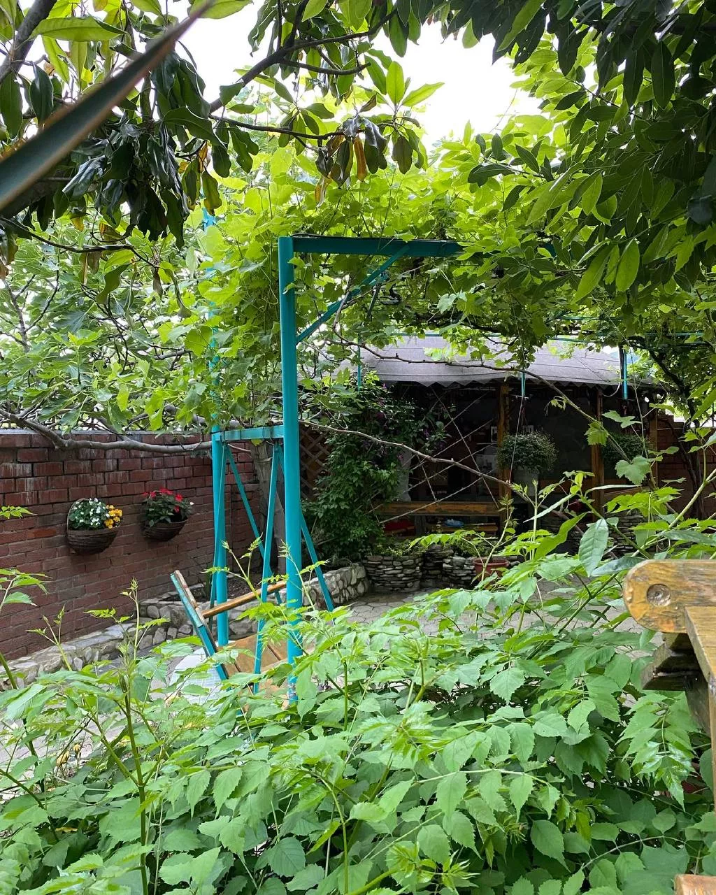 . Гостевой дом "Инжир". Новомихайловский . Гостевой дом "Инжир". Новомихайловский