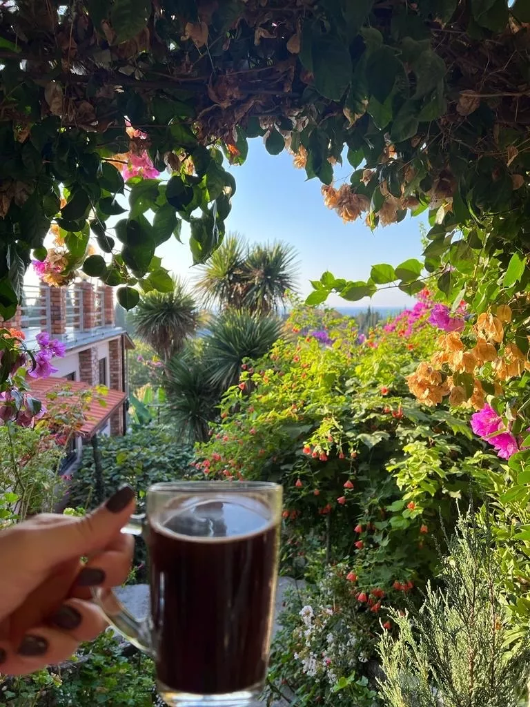 . Гостевой дом Эль Платано. Новый Афон