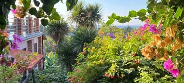 Гостевой дом Эль Платано