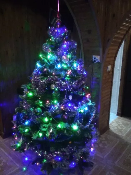 . Гостевой дом Амра. Гудаута