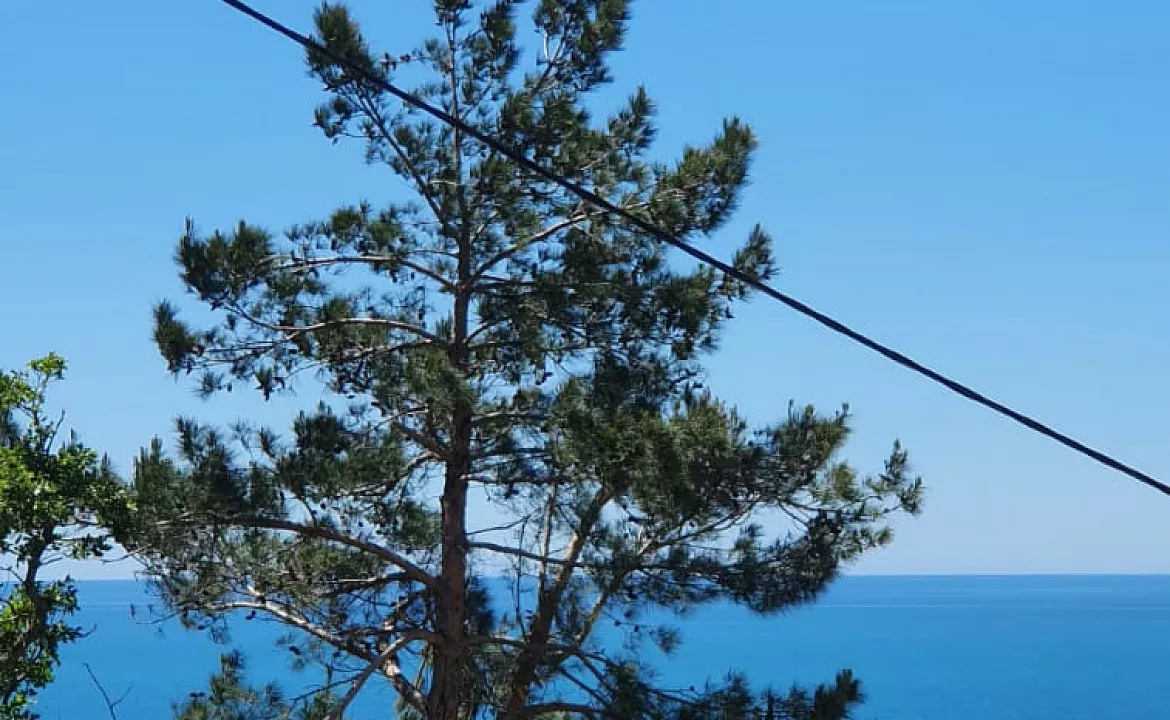 семейный. Гостевой дом Дельфин - Новомихайловский. Новомихайловский семейный. Гостевой дом Дельфин - Новомихайловский. Новомихайловский