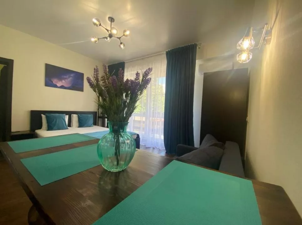 Апартаменты с видом на горы. Апартаменты На Калиновой 9A. Красная Поляна  Апартаменты с видом на горы. Апартаменты На Калиновой 9A. Красная Поляна