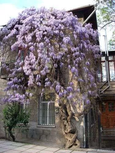 . Частный сектор 2х комнатная квартира на набережной. Ялта