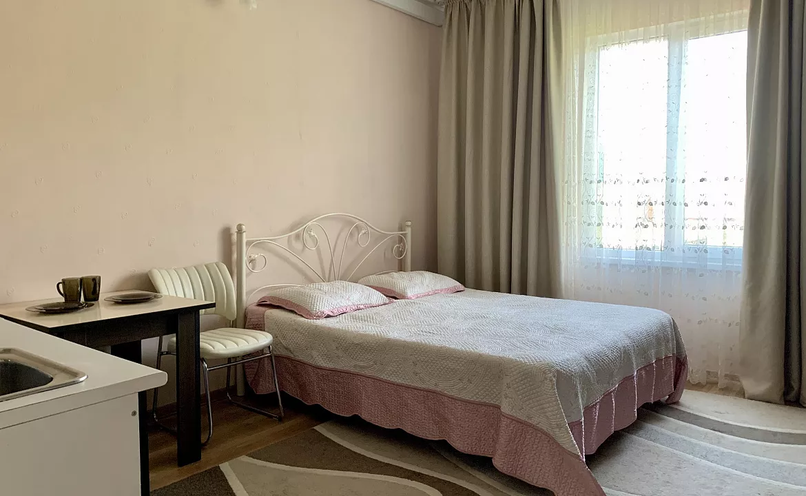 2-х местный ЛЮКС. Гостевой дом Калина. Гагра