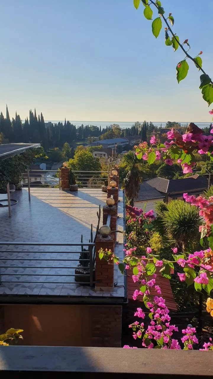 . Гостевой дом Эль Платано. Новый Афон