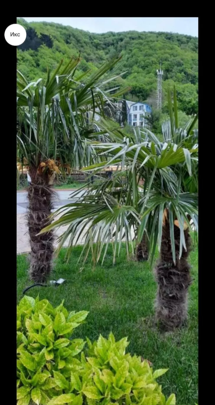 . Квартира в многоквартирном доме Sun Hills. Небуг