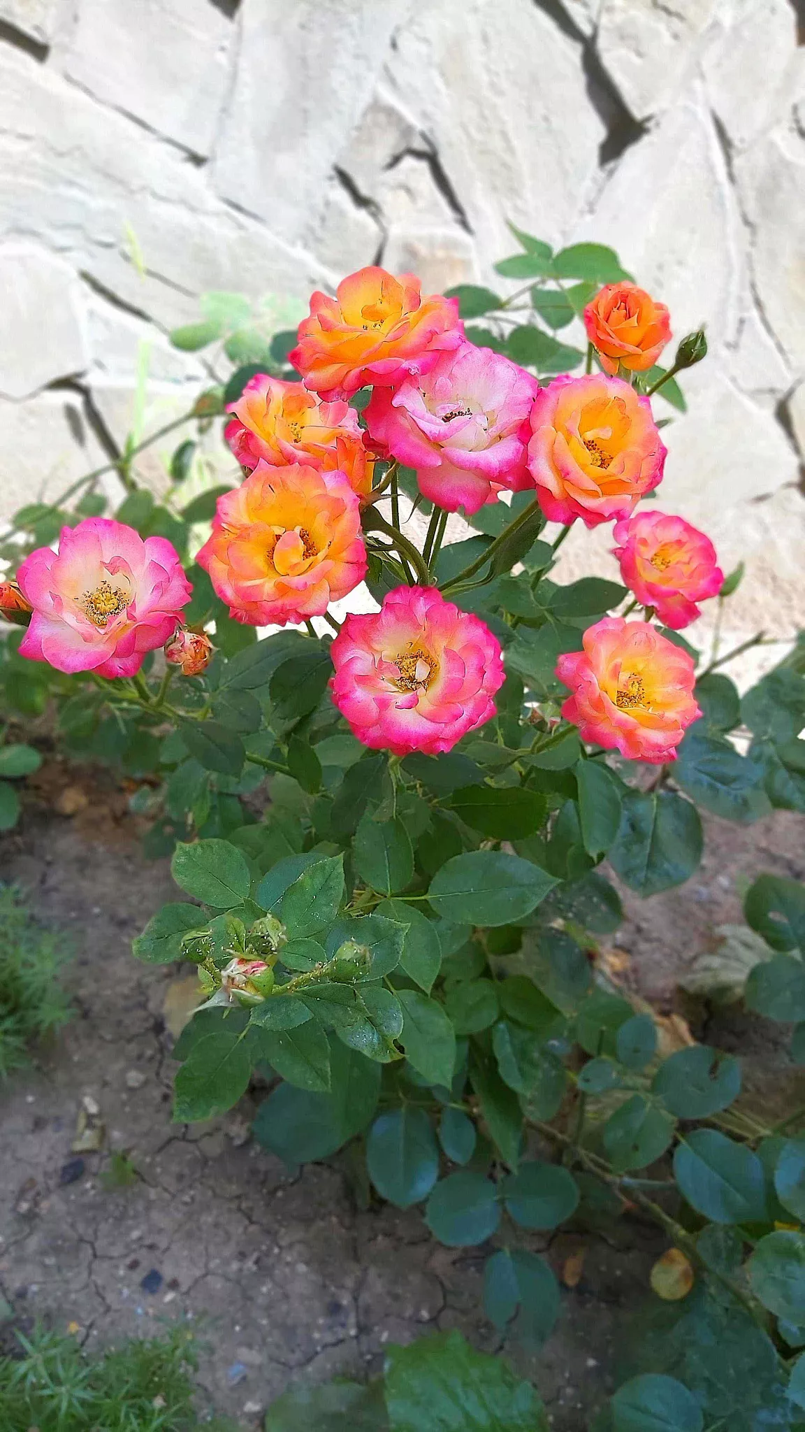 . Частный сектор Комнаты в центре Анапы. Анапа . Частный сектор Комнаты в центре Анапы. Анапа