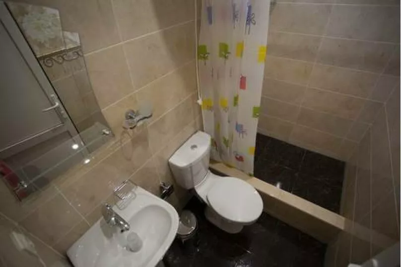 2, 3, 4-х, 5-ти местный «Люкс». Гостевой дом Олеандр. Гагра