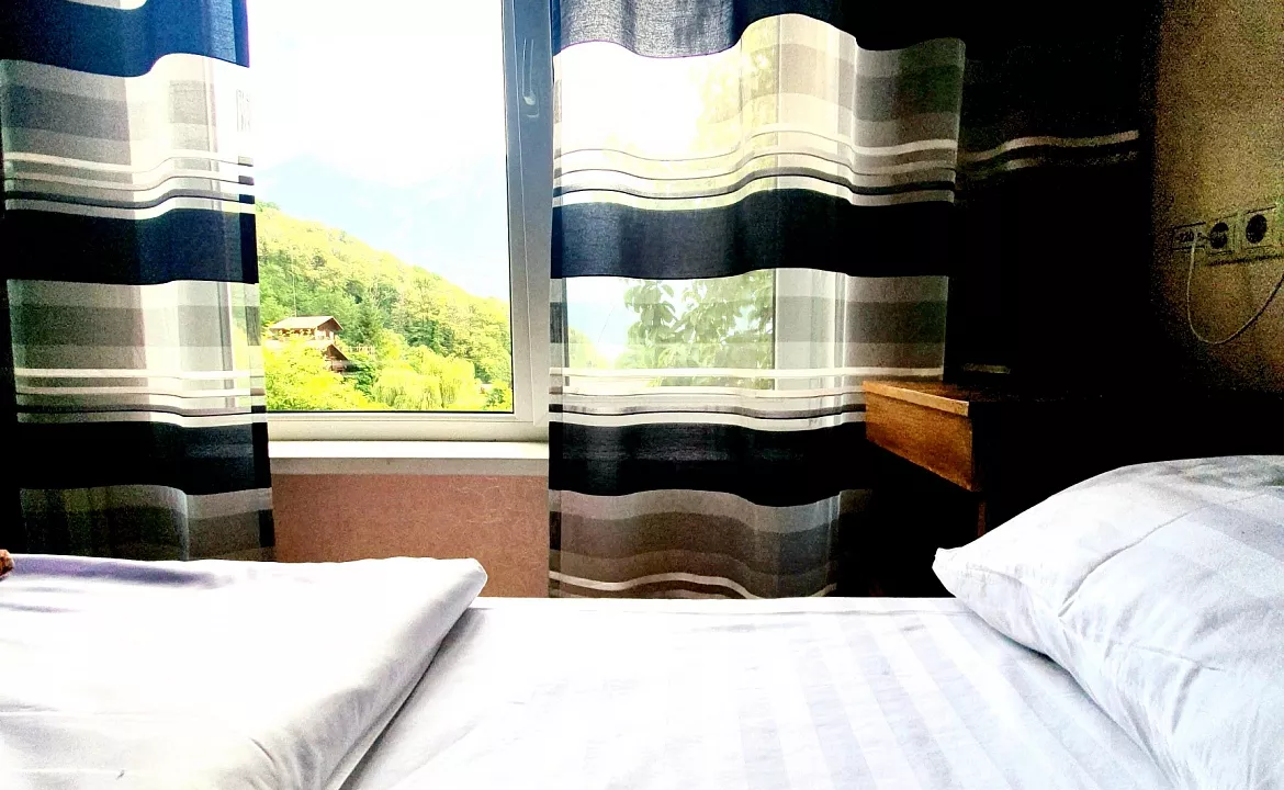 Двухместный с раздельными кроватями. Гостевой дом Родник. Красная Поляна