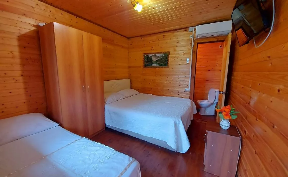 Двухместный стандарт . Гостевой дом гостевой дом Новая Гагра. Гагра