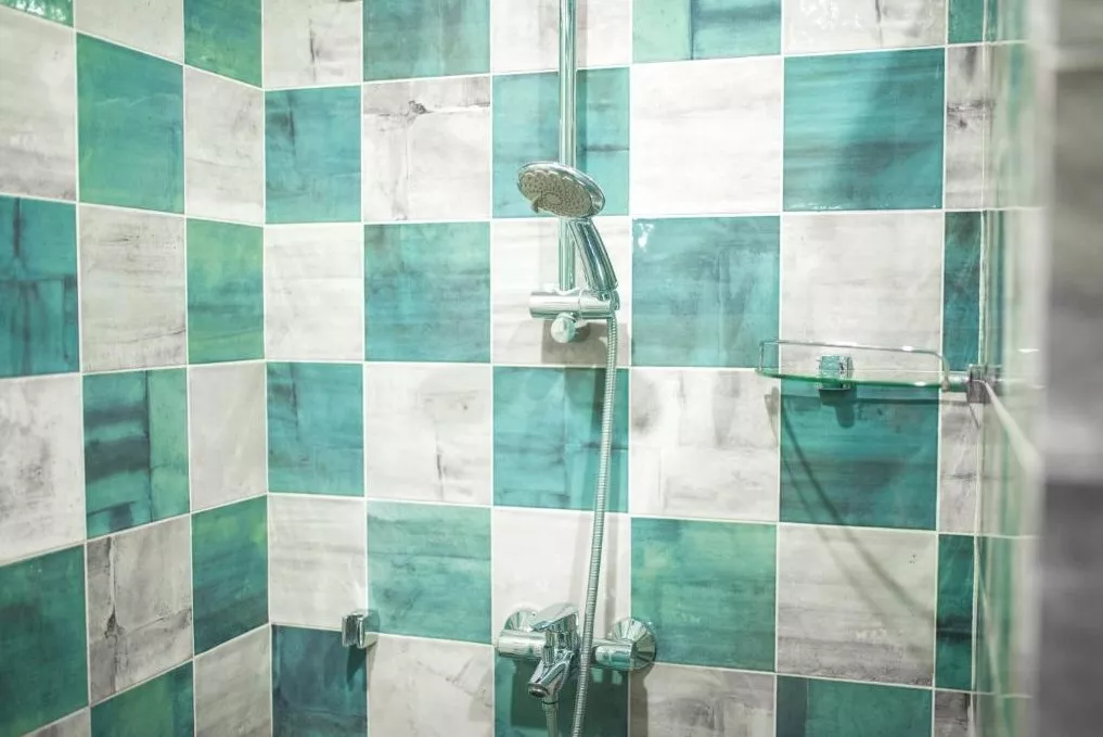 . Отель Alm Hotel. Красная Поляна