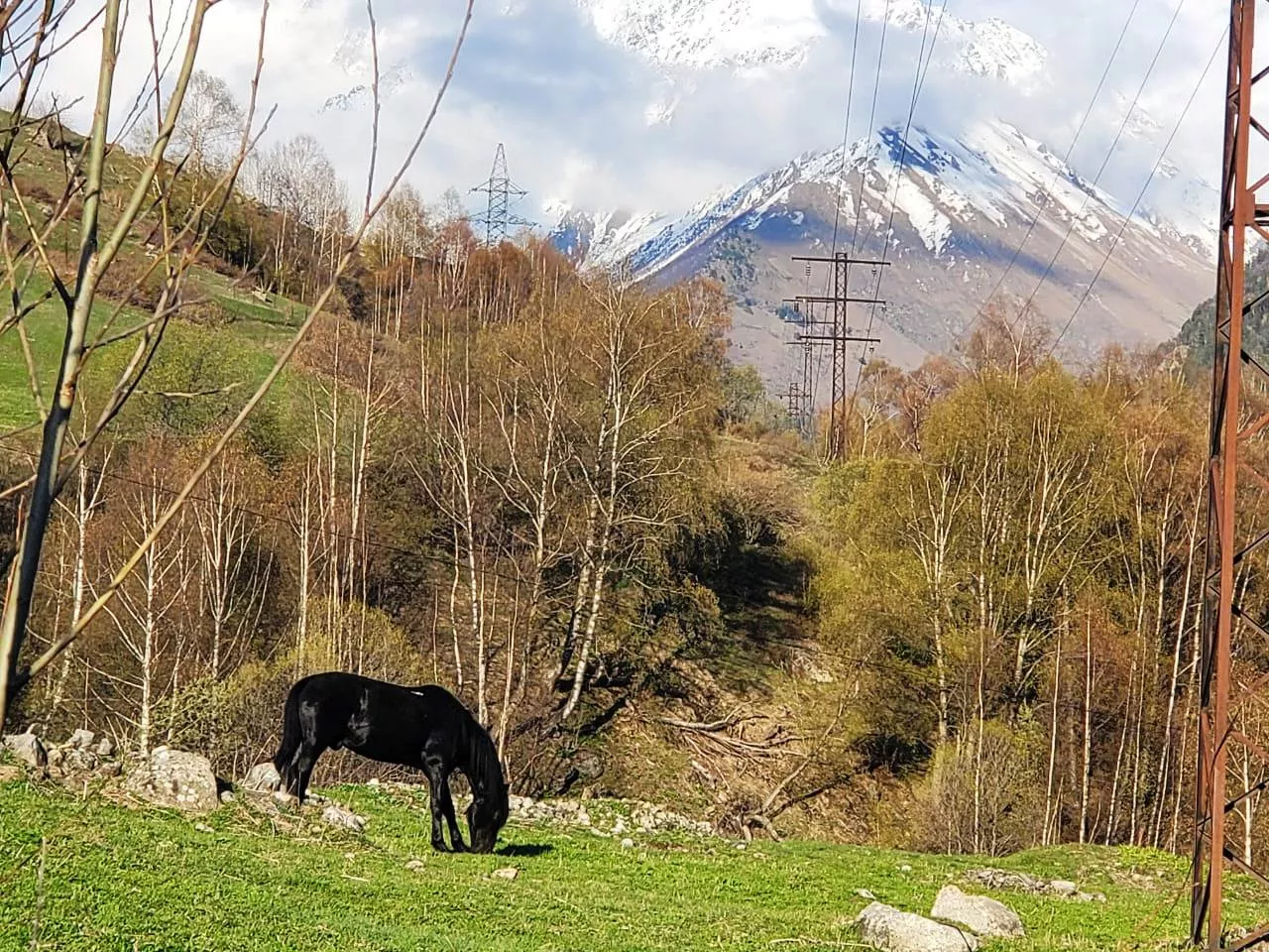 . Гостевой комплекс  Family club. Эльбрус