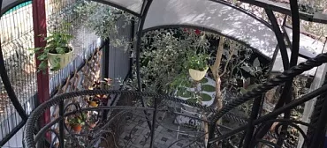 Частный сектор "Жемчужина взморья"