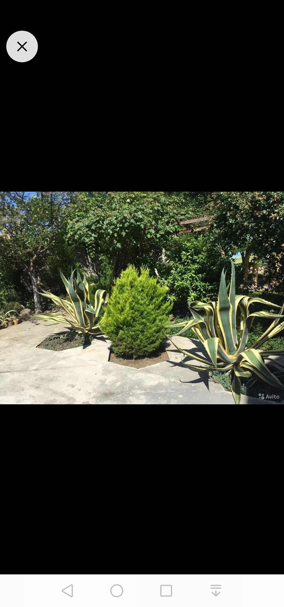 . Дом под ключ Tamazi Dzadzamia. Вардане