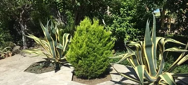 Дом под ключ Tamazi Dzadzamia