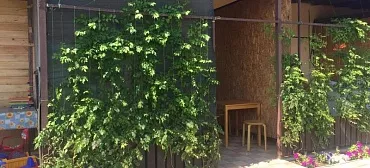 Гостевой дом "Семейный" - Должанская