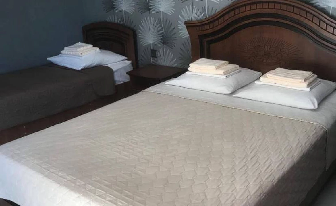 КОМФОРТ ПЛЮС 3местный. АНГЕЛИНА. Вардане