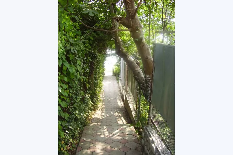 . Частный сектор "Эвелина у моря". . Квартиры в Лазаревском . Частный сектор "Эвелина у моря". . Квартиры в Лазаревском