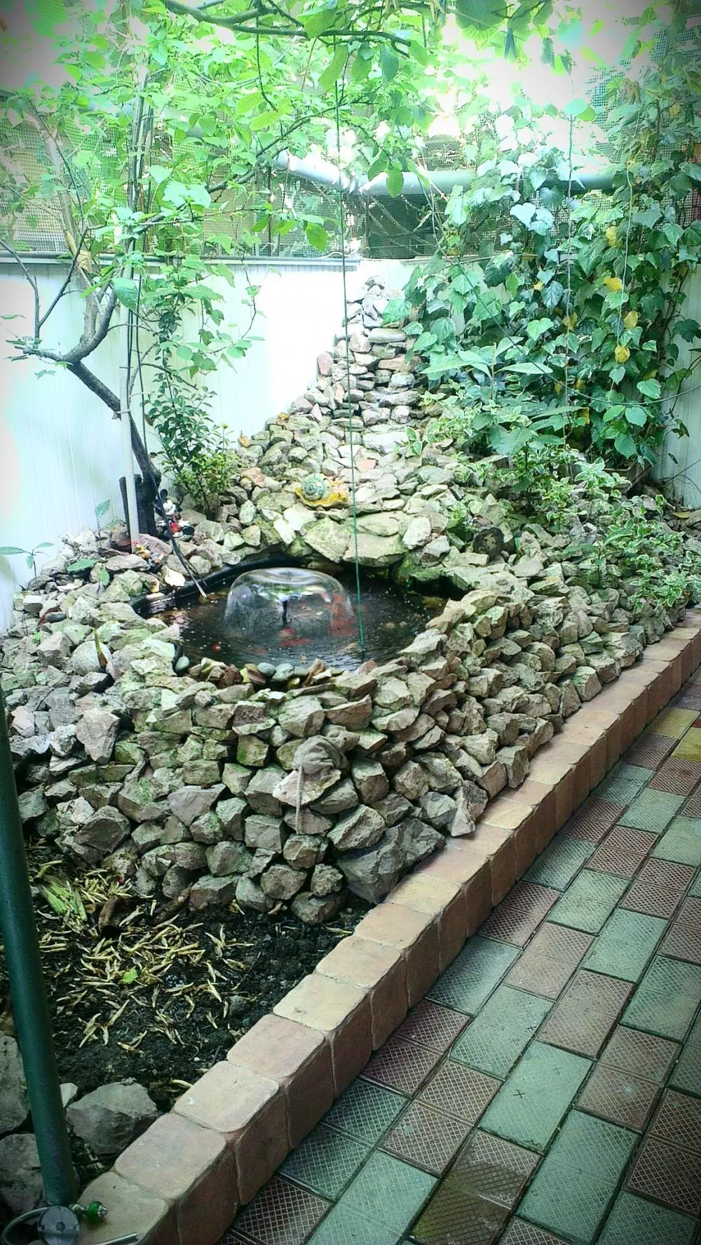 . Частный сектор "Короленко 5 " . Адлер