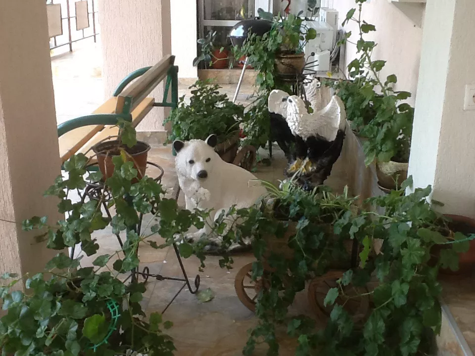 . Гостевой дом "Уютный". Лоо