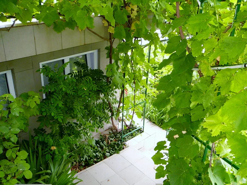 . Эллинг «Юрий». Алупка