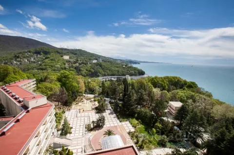 . Санаторий Зеленая роща. Хоста