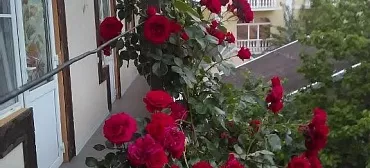 Гостевой дом Связь Времён