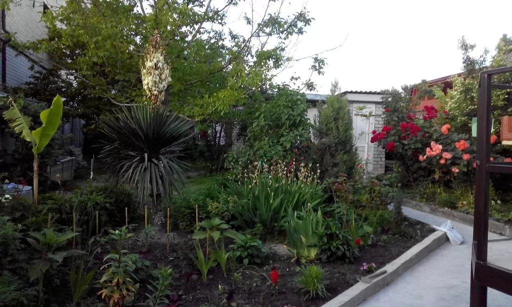 . Частный сектор "Людмила". Кабардинка