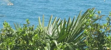 Частный сектор "Уютный дом"