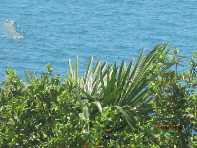 . Частный сектор "Уютный дом". Лазаревское . Частный сектор "Уютный дом". Лазаревское