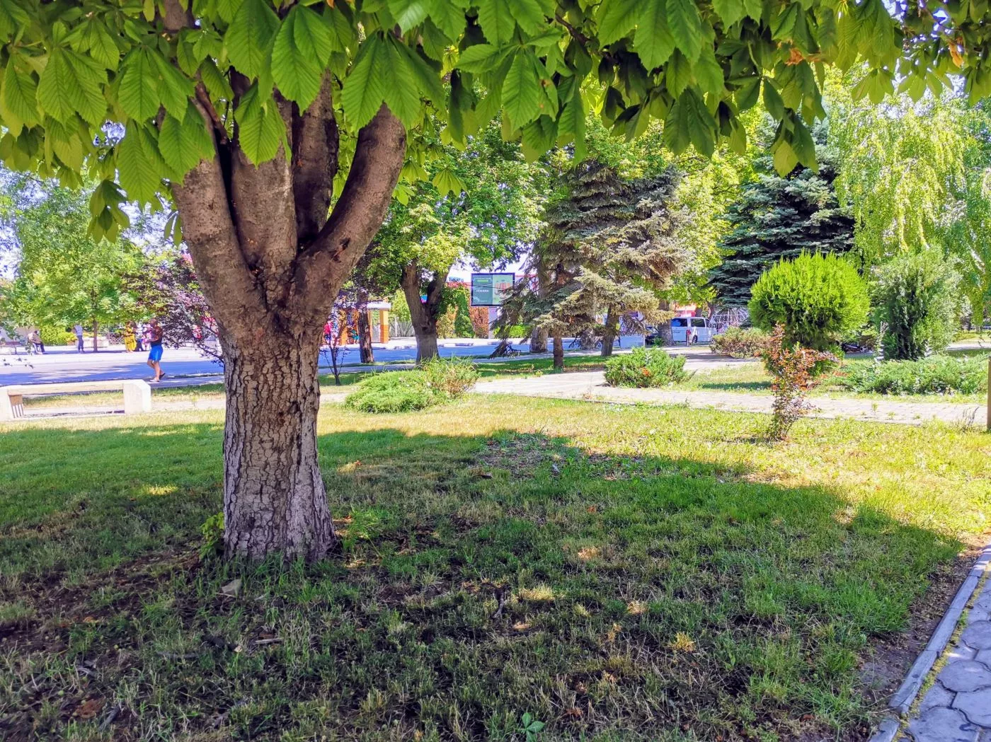 . Гостевой дом Ракушка Анапа. Анапа