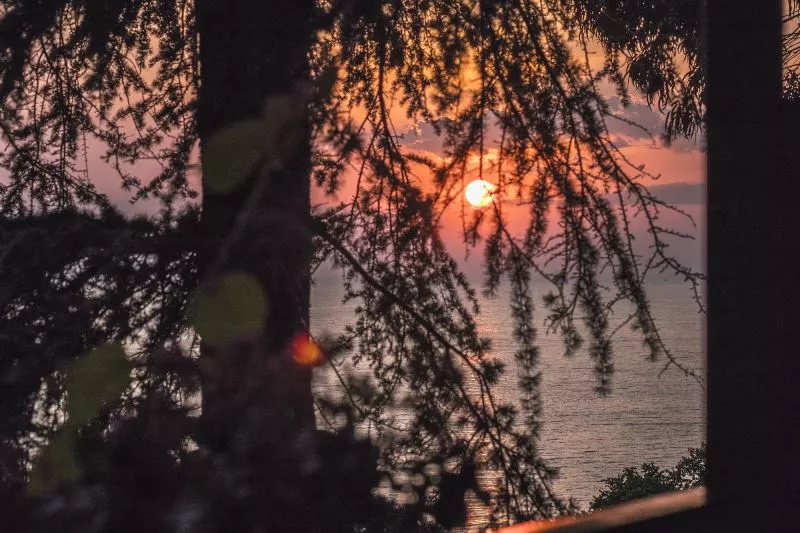 . Частный сектор "Новые горизонты в Сосновом бору" . Чемитоквадже