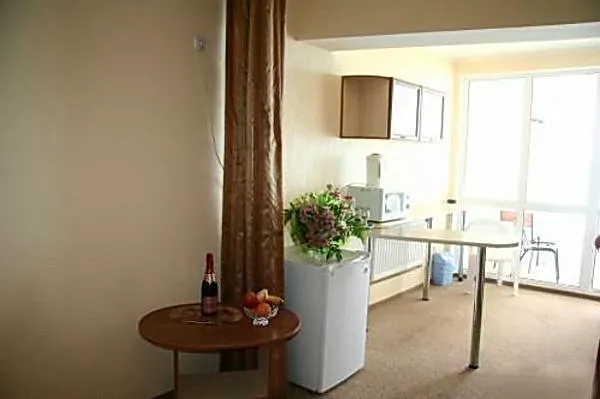 Номер Люкс 2х-комнатный. Частная гостиница «Слонотель». Малореченское