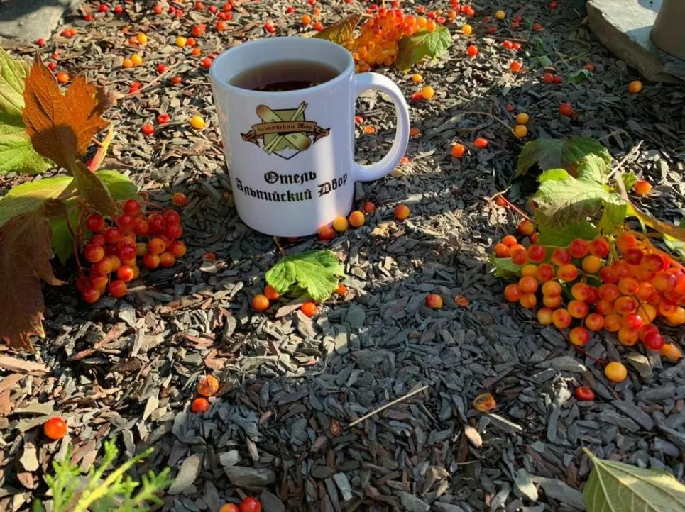 . Отель Отель Альпийский двор. Красная Поляна