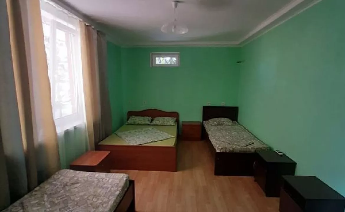 Эконом. Гостевой дом У Тюльпанового дерева. Головинка