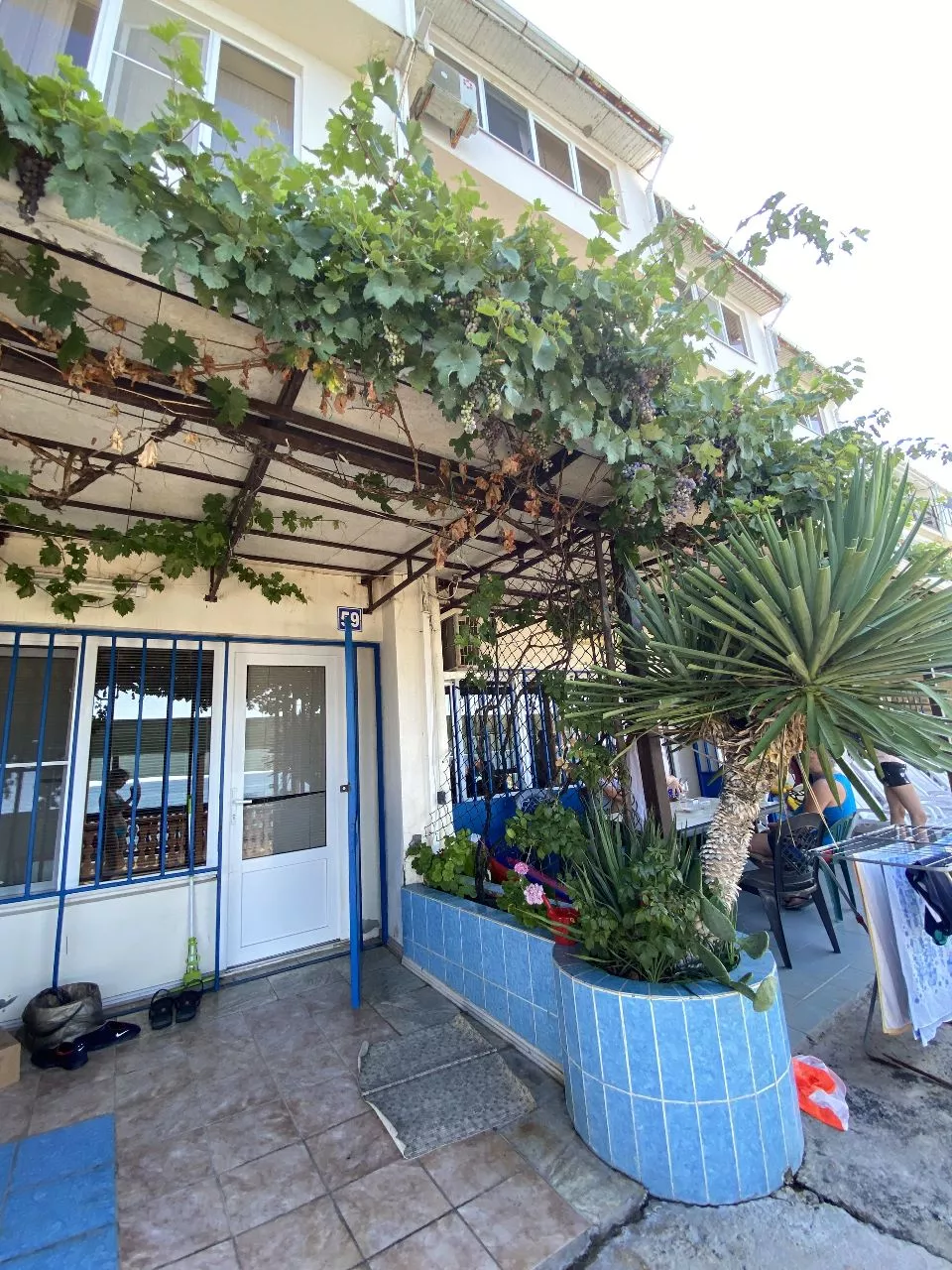 . Гостевой дом "Базилио". Лазаревское . Гостевой дом "Базилио". Лазаревское