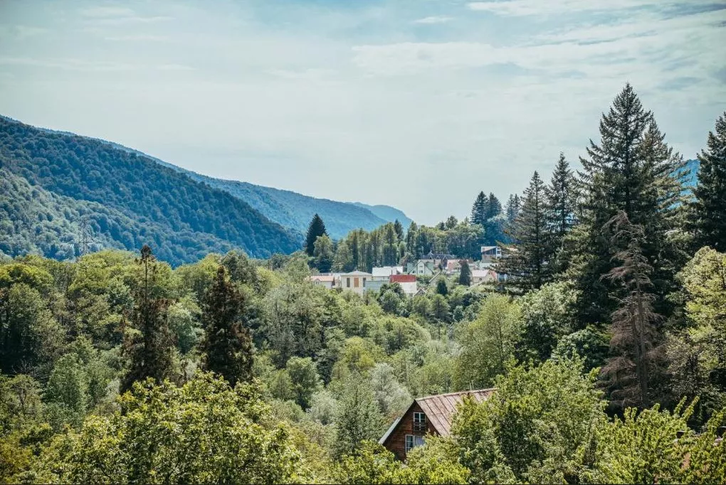 . Отель Alm Hotel. Красная Поляна