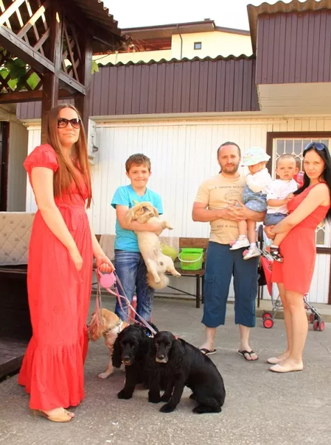 . Гостевой комплекс "У моря". Витязево