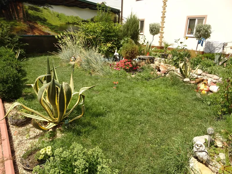 . Гостевой дом "Жемчужина" - Должанская. Должанская