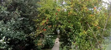 Частный сектор Гостевой дом на ул.Чамагуа 7