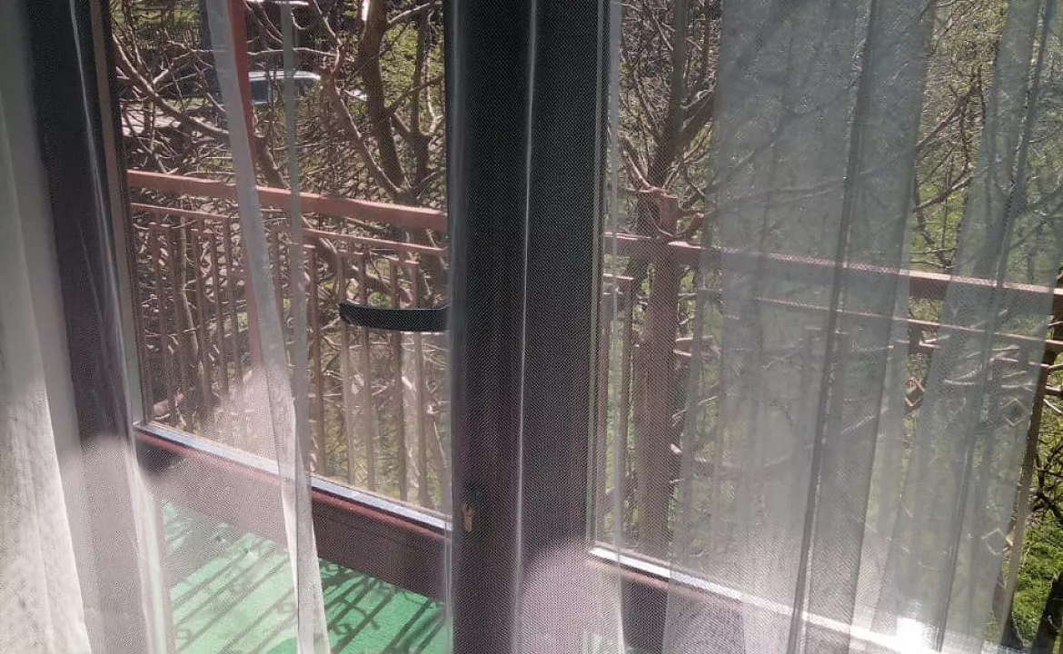 Двух местный с удобствами, с завтраком . База отдыха "Алексеевка". Лазаревское