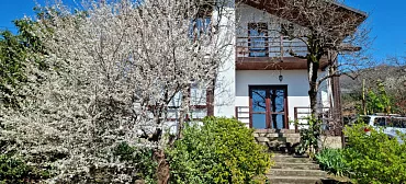 Гостевой дом "Цитрус"