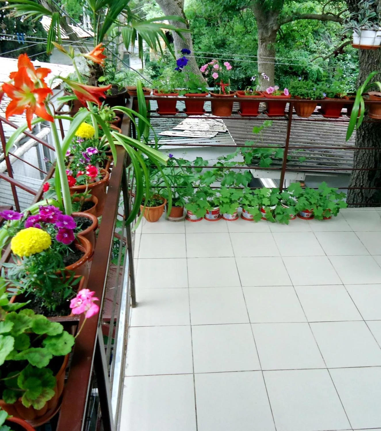 . Частный гостевой дом Ялта. Ялта